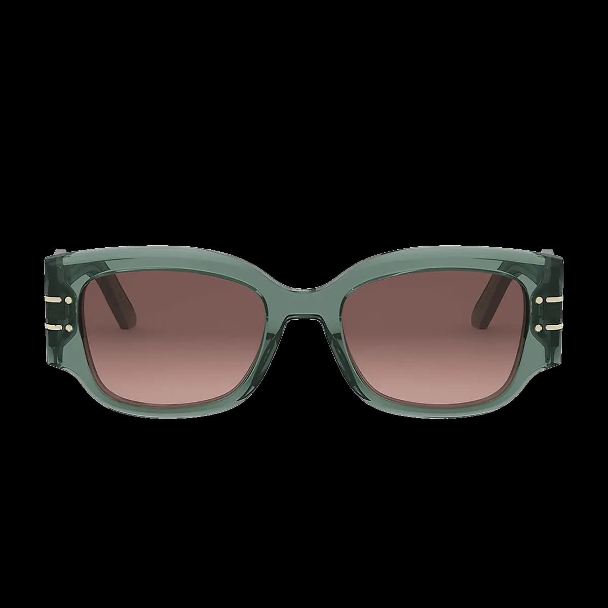 Diorsignature S13I 55F2