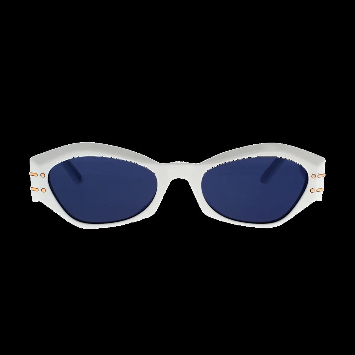 Diorsignature B1U 50B0