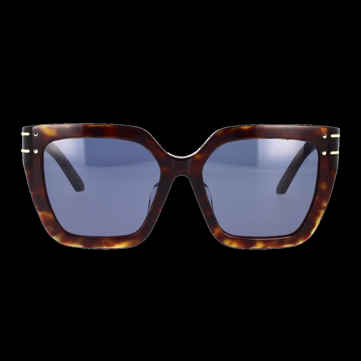 Diorsignature S10F 20B0