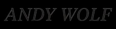 sunglasses / unisex / andy wolf logo