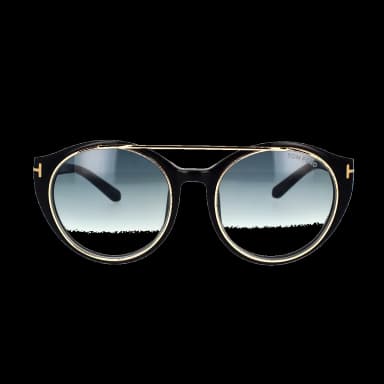 FT0383 01W