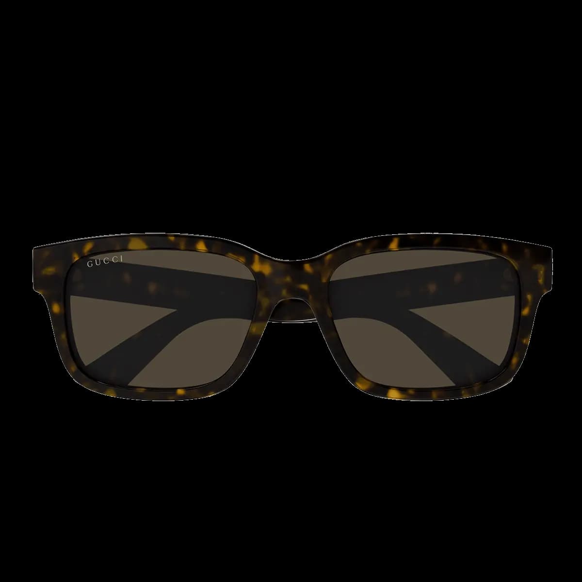GG1583S 002