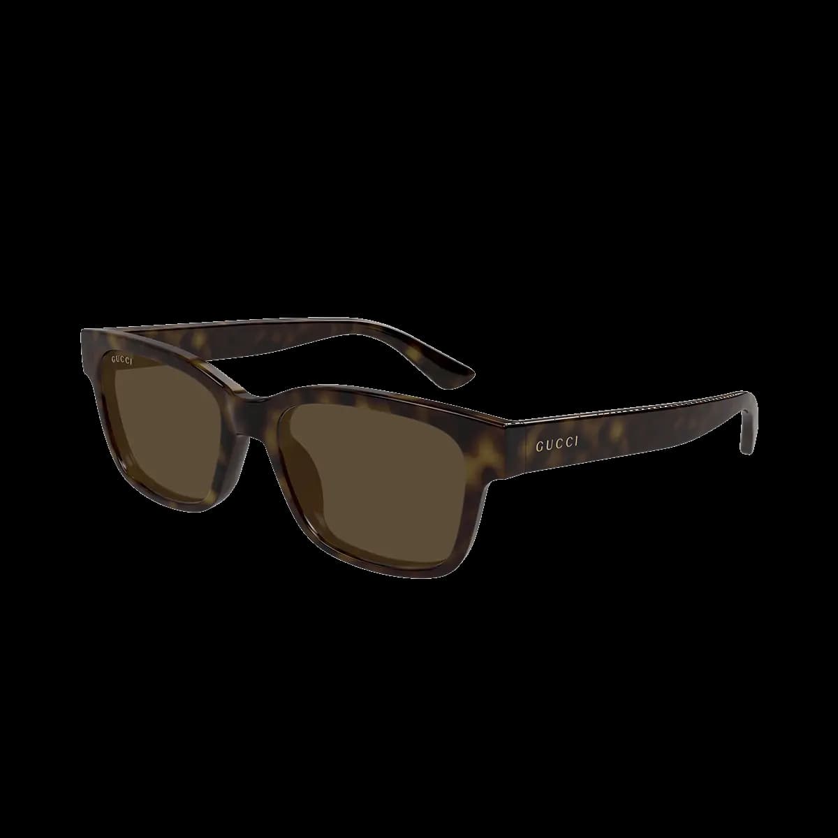 GG1716S 002