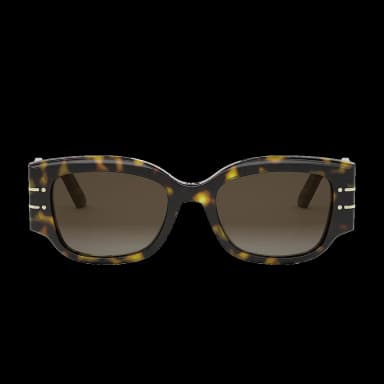 Diorsignature S13I 20F1